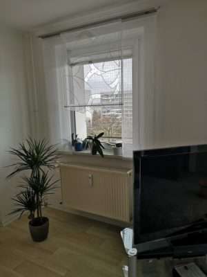 Weißes Raffrollo im Wohnzimmer